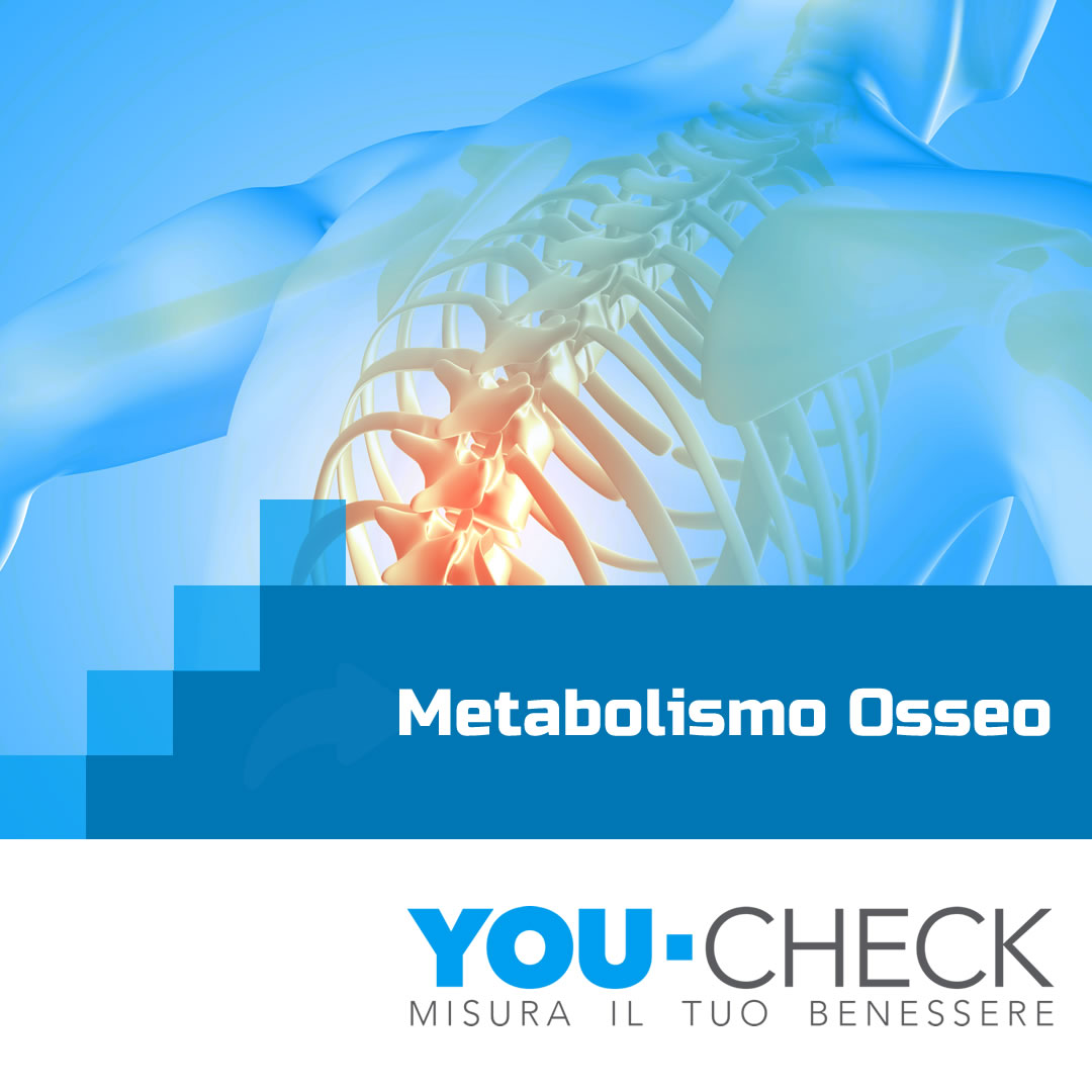 metabolismo-osseo